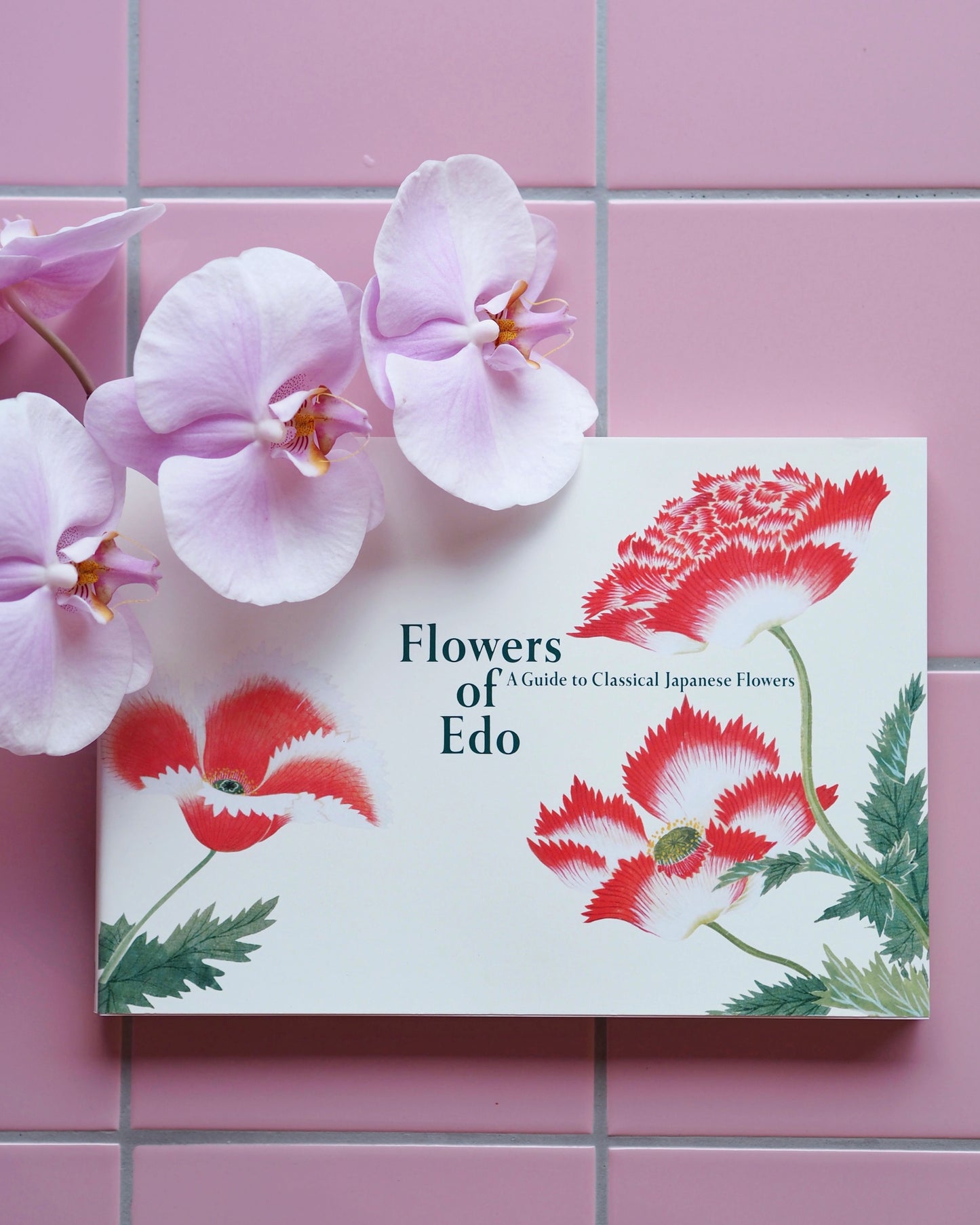Flowers of Edo