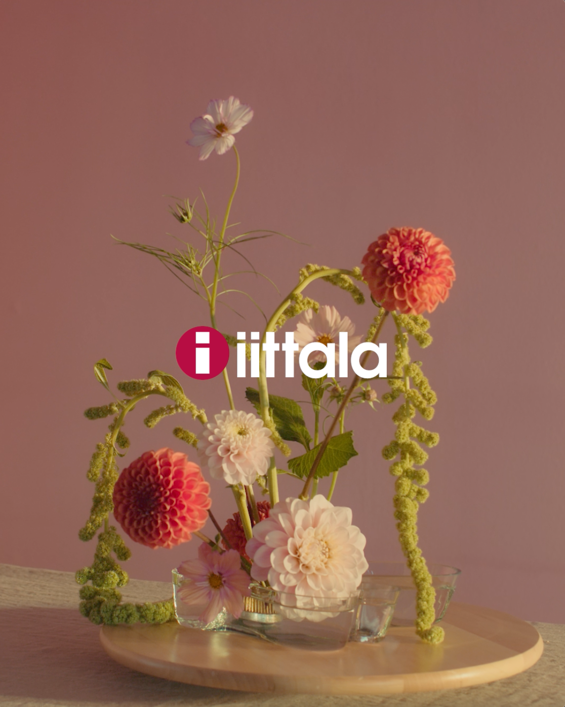 Load video: Inspirational flowers videos created around Iittala's Aalto vases