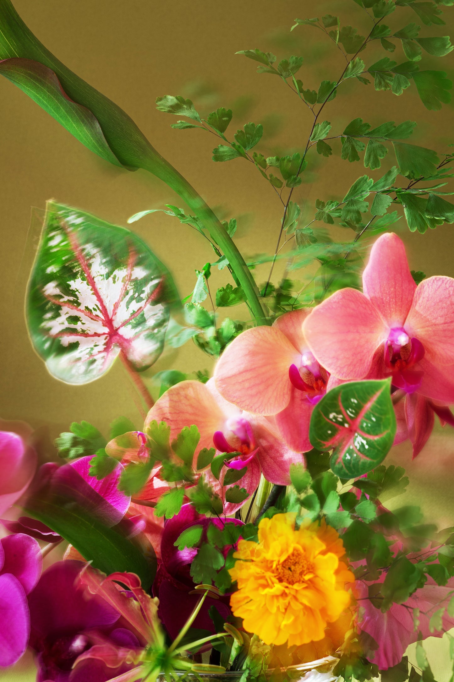 Dazed Longsleeve in black