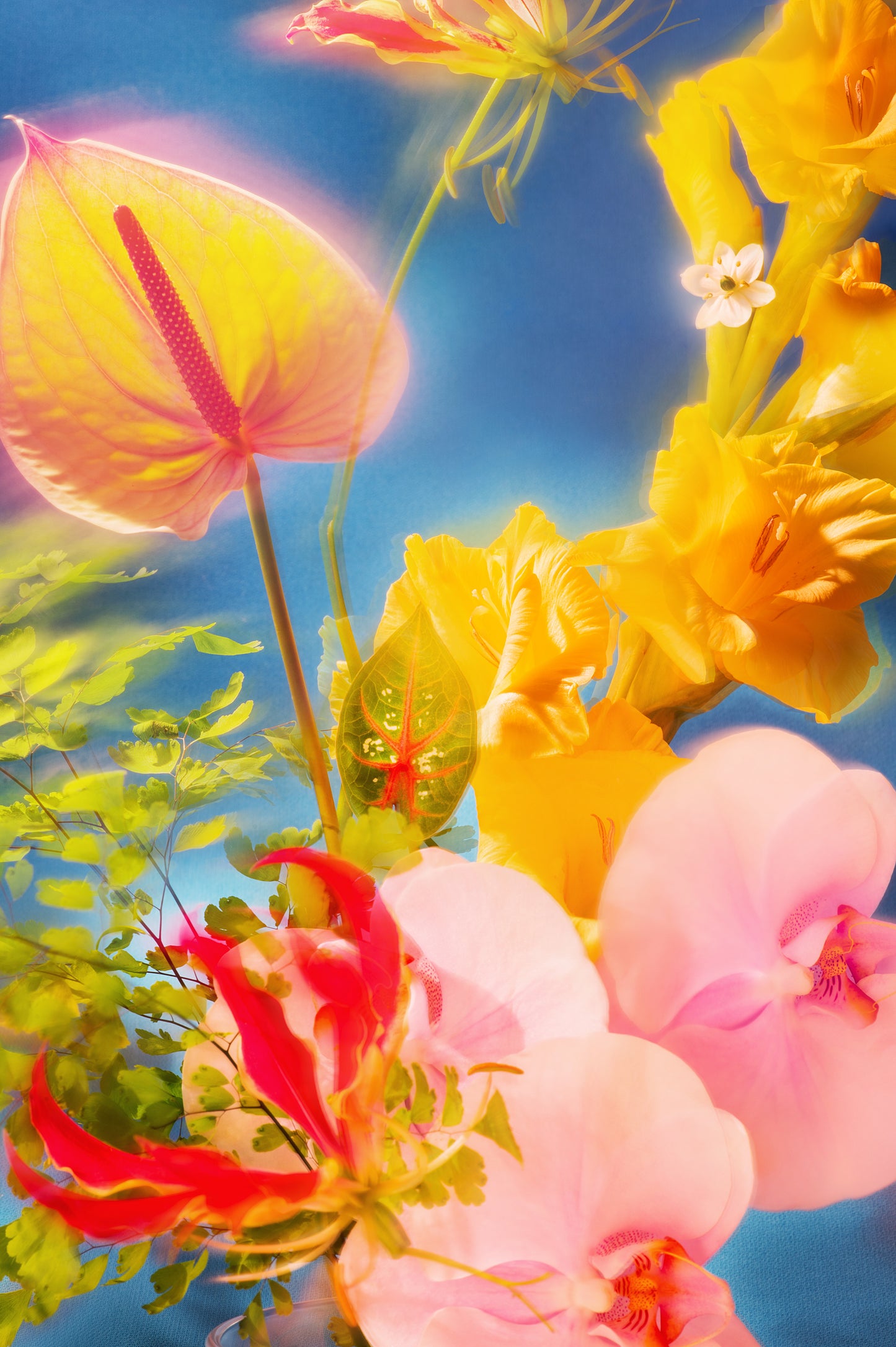 Dazed Longsleeve in white