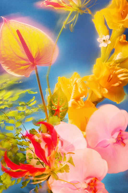 Dazed Longsleeve in white